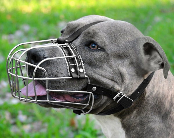 Adjustable Dog Muzzle Wire Basket