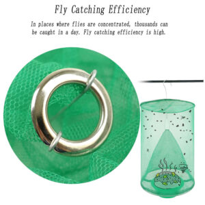 Fly Traps x 4