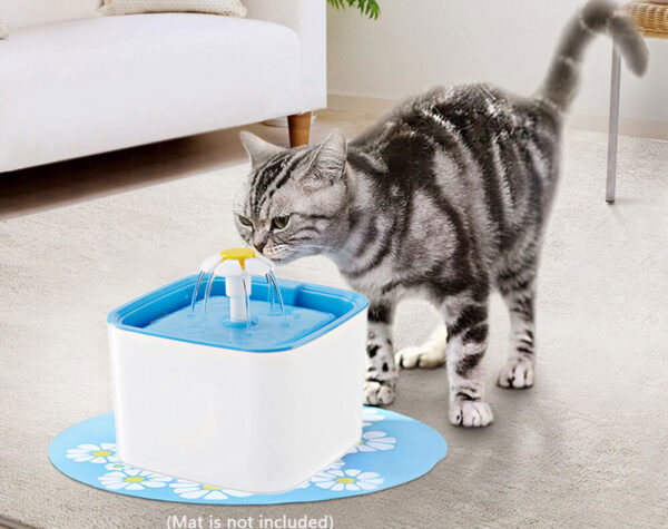 PET WATER FOUNTAIN FEEDER