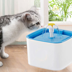 PET WATER FOUNTAIN FEEDER