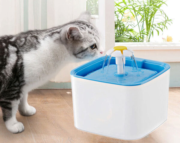 PET WATER FOUNTAIN FEEDER