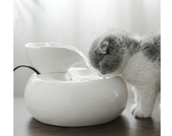 Pet Drinking Water Fountain Electric Cat Automatic White
