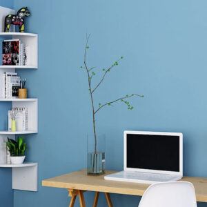 CORNER SHELVES