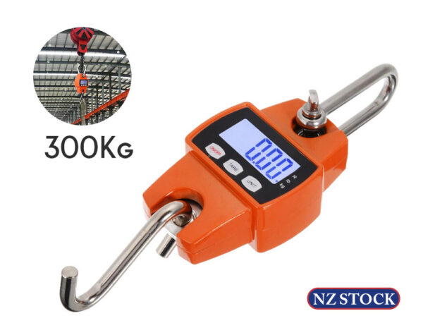 Hanging Crane Scale