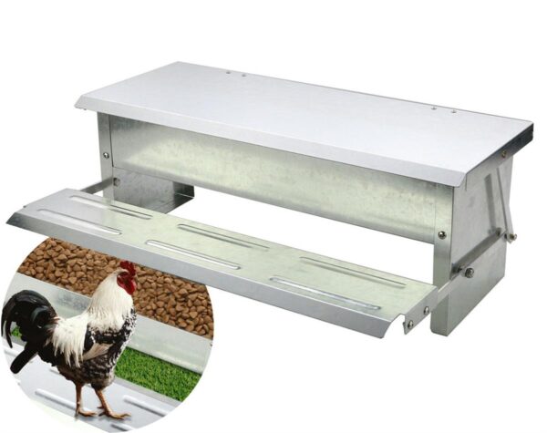 Chicken Feeder 5kg