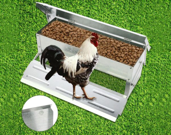 Chicken Feeder 5kg