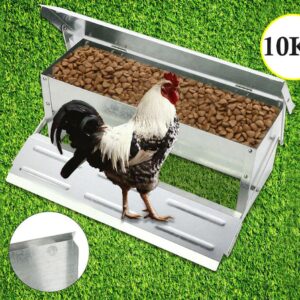 Chicken Feeder 10kg