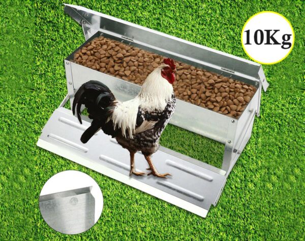 Chicken Feeder 10kg