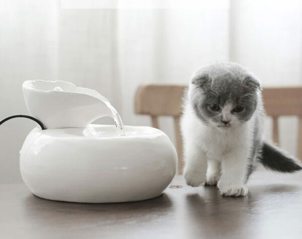Pet Drinking Water Fountain Electric Cat Automatic White