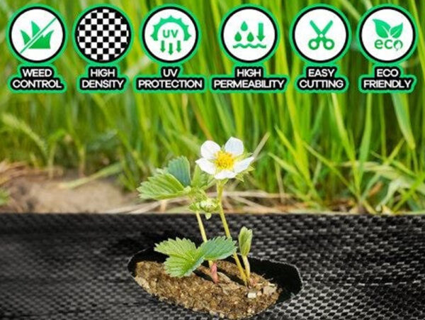 Weed Matt 1M x 100M