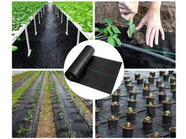 Weed Matt 1M x 100M