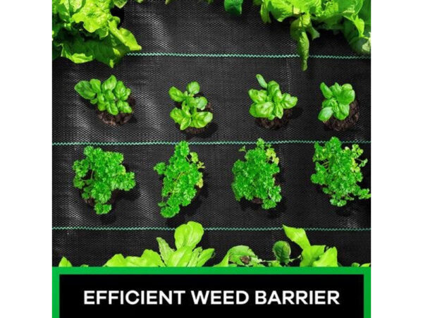 Weed Matt 1M x 100M