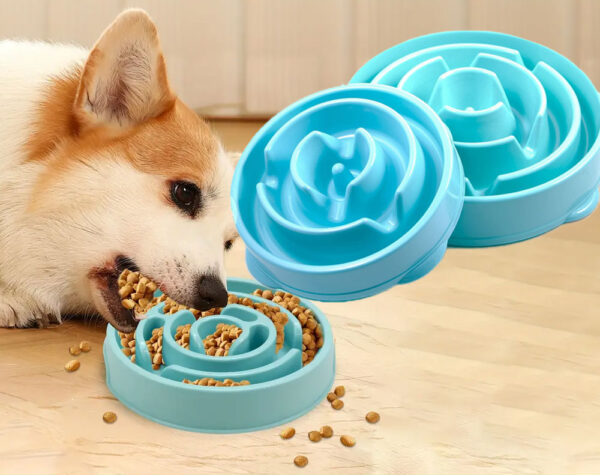 Dog Bowl Slow Feed