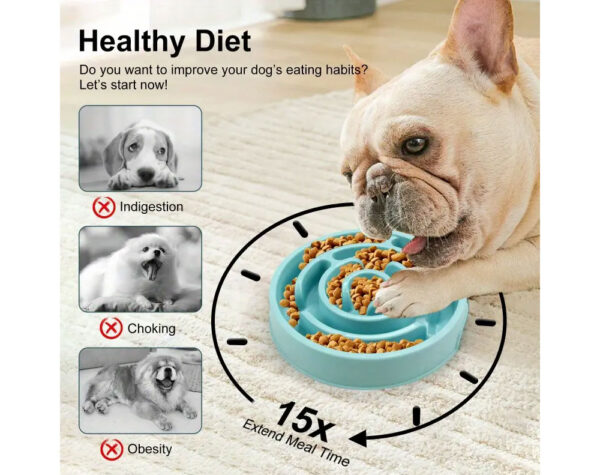 Dog Bowl Slow Feed